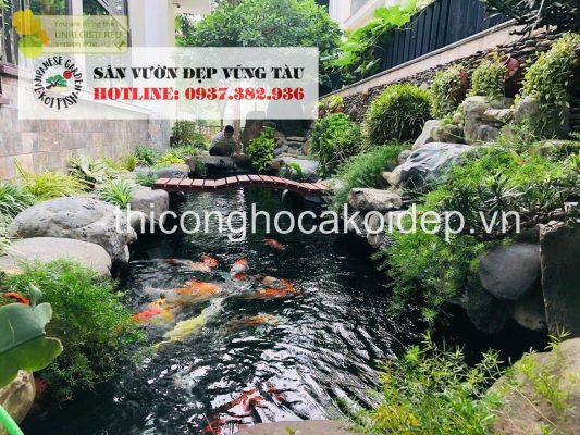 vệ sinh hồ cá Koi