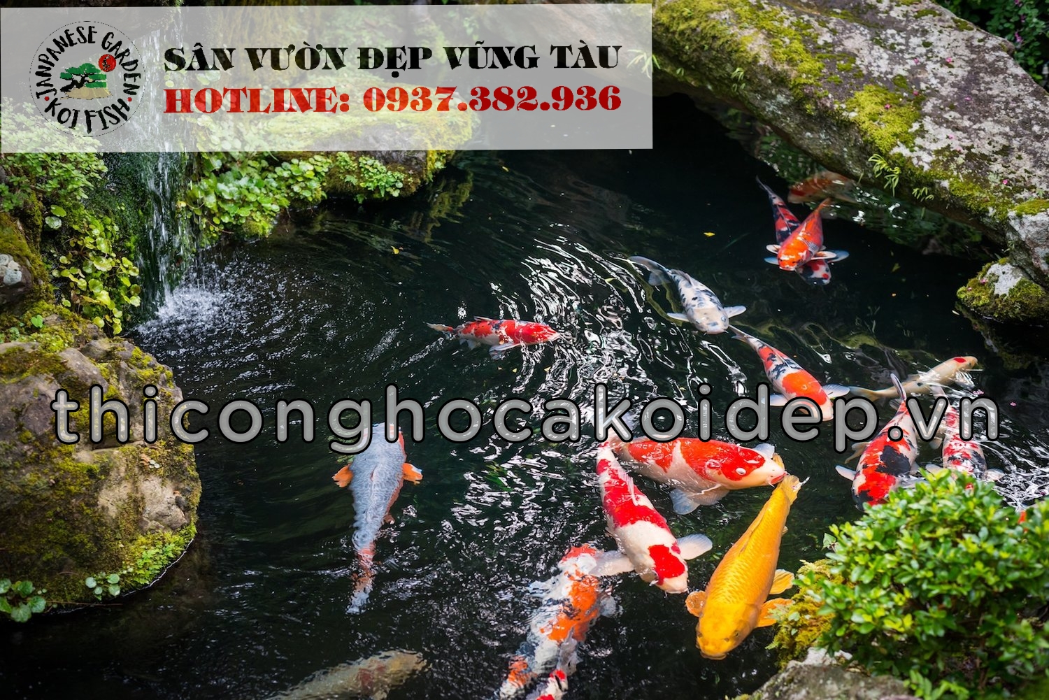 Hồ Cá